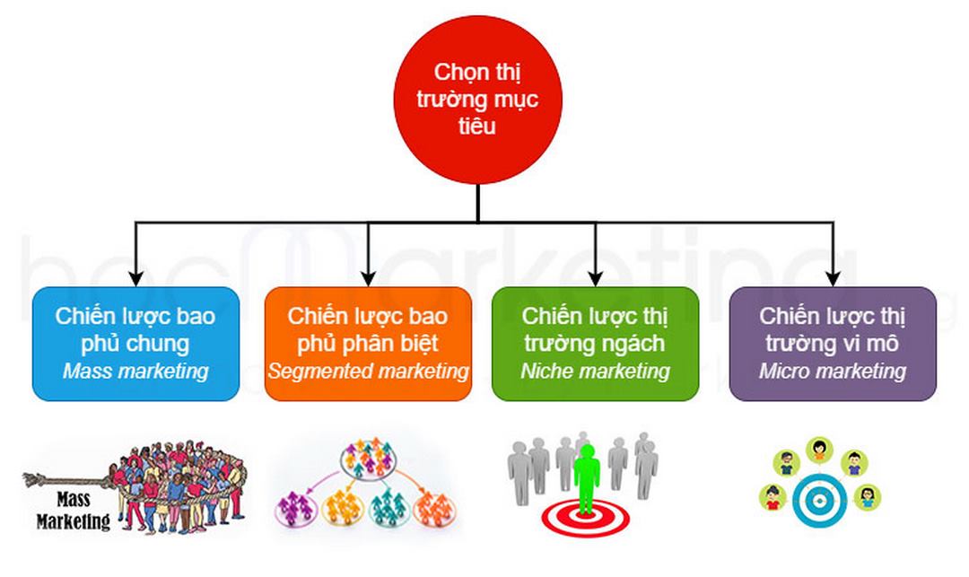 Tạo ra các chiến lược marketing để target thị trường