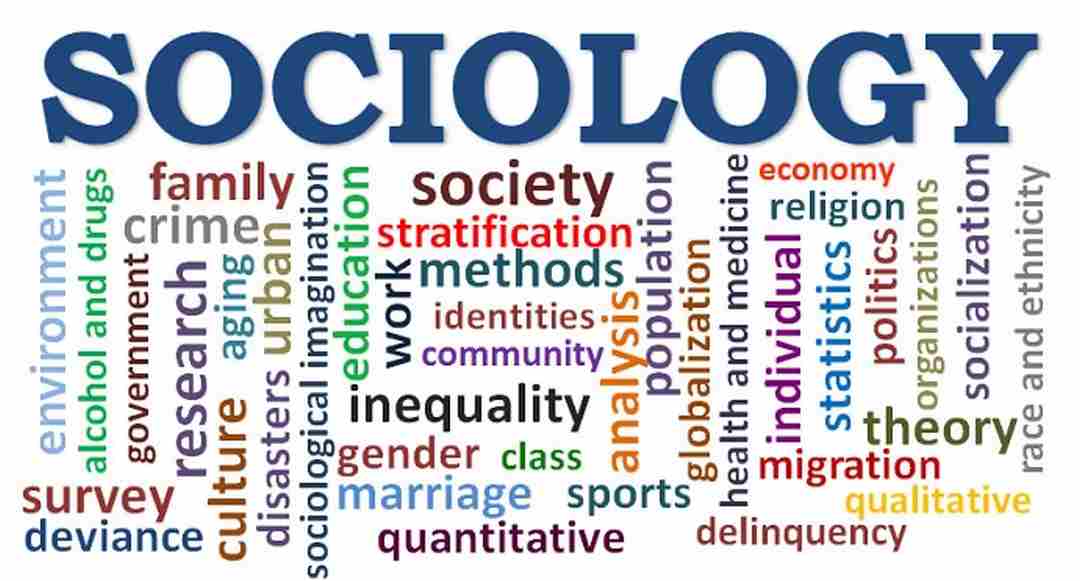 Ngành xã hội học hay còn được gọi là Sociology