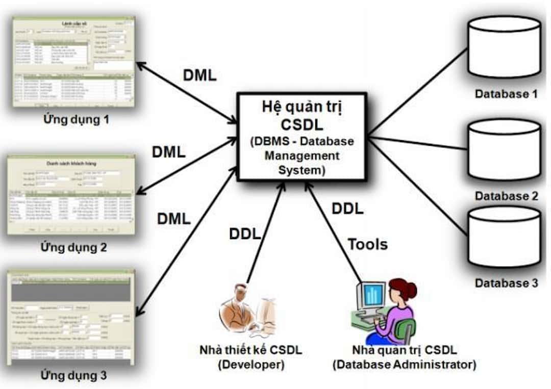 Quản lý cơ sở dữ liệu (CSDL) là gì?