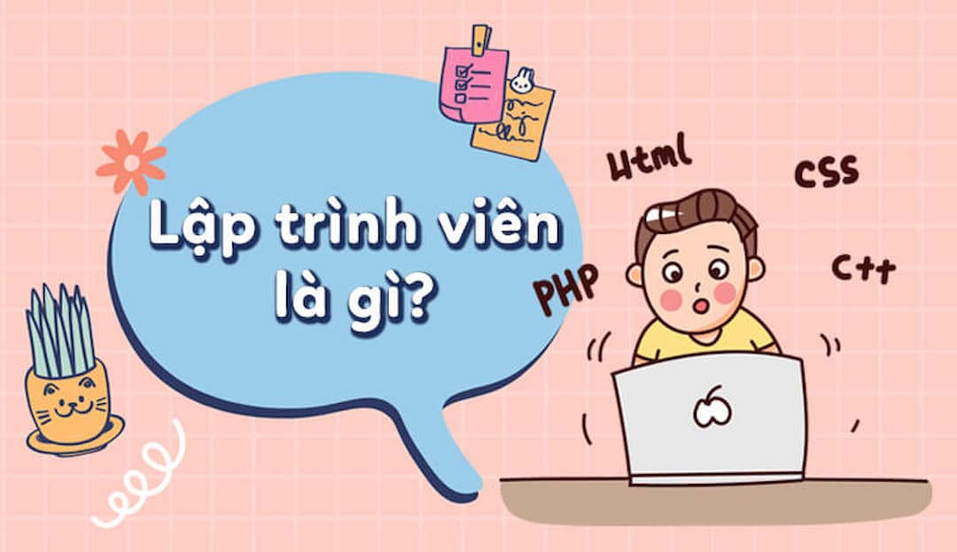 Lập trình viên là gì?