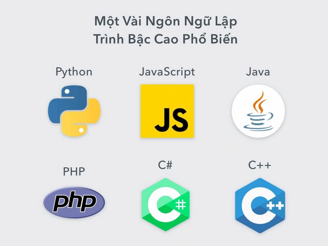 Ngôn ngữ lập trình bậc cao là gì? Ưu nhược điểm và ứng dụng