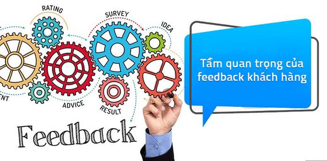 Cách sử dụng Feedback để tạo ra một môi trường doanh nghiệp thân thiện và bền vững