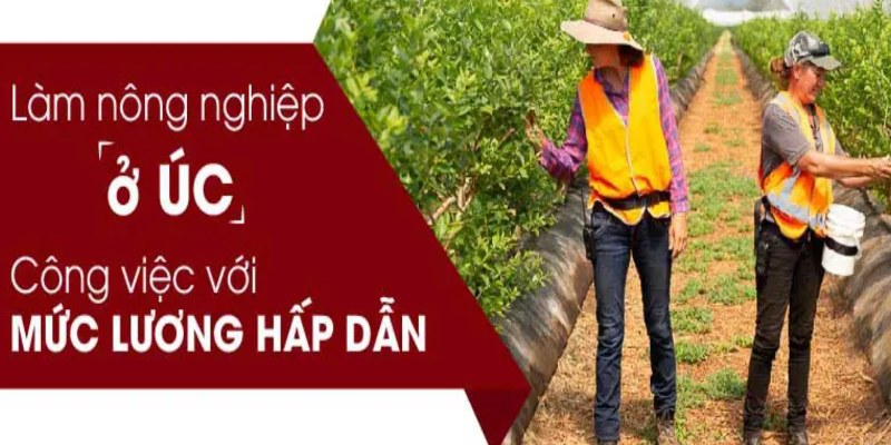 Nhiều công việc trong ngành nông nghiệp tại Úc