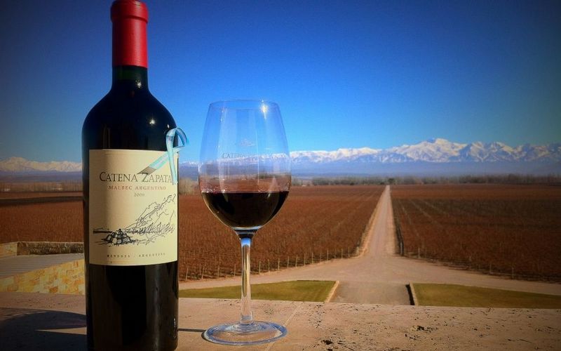 Vang có màu tím đậm